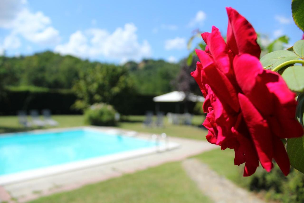 Bed and Breakfast Il Casolare Penna Exterior foto